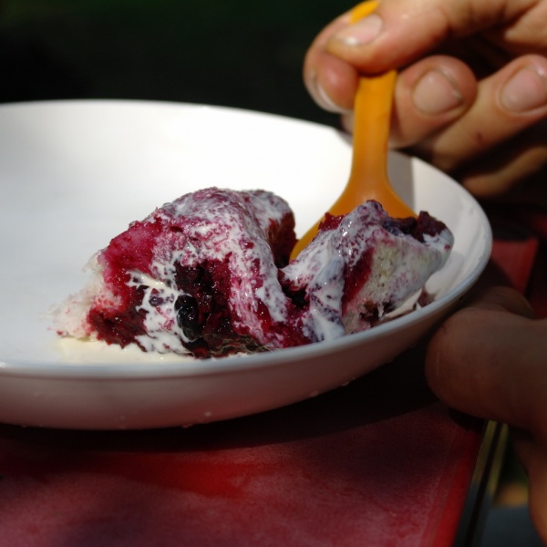 Bestand:Bushcraftweekend 09 12 summerpudding 2.jpg