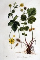 Miniatuurafbeelding voor de versie van 10 feb 2016 11:43