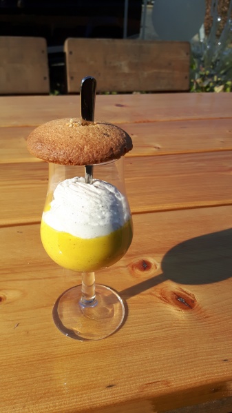 Bestand:Gansvocaat.jpg