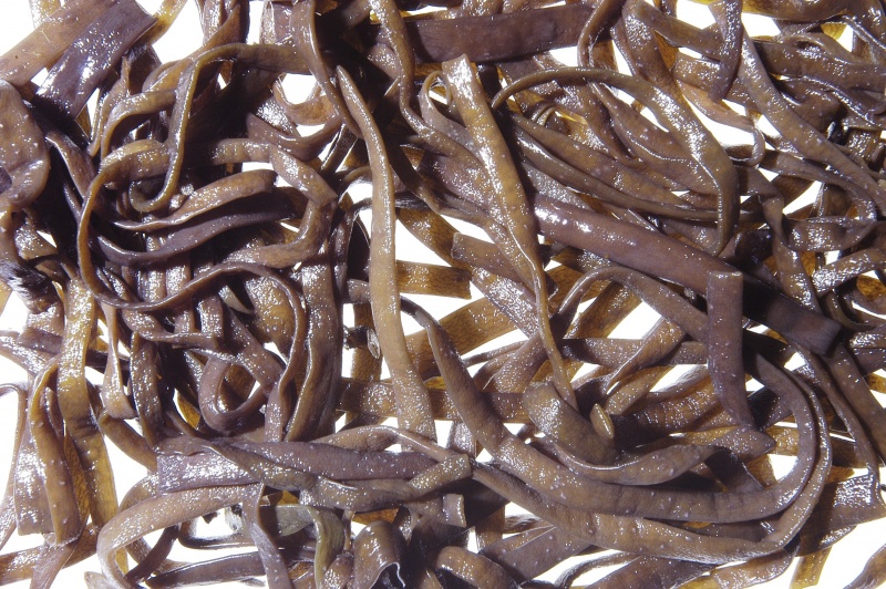 Bestand:Spaghetti de mer.jpg