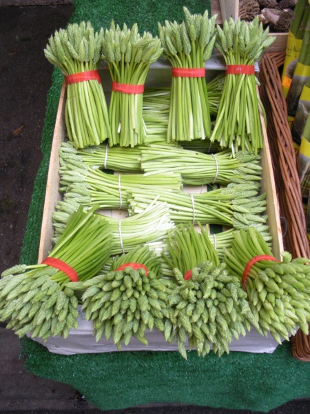 Bestand:Asperge-bosvogelmelk.jpg