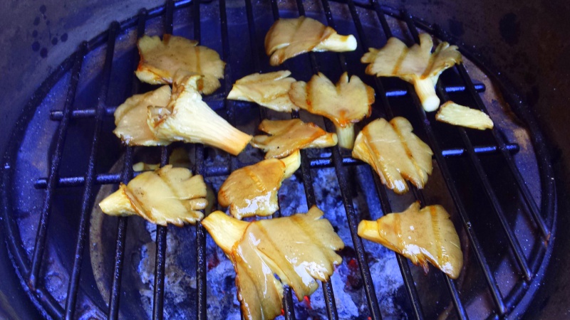 Bestand:Bbq oesterzwam.jpg