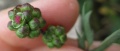 Miniatuurafbeelding voor de versie van 30 jan 2018 18:50