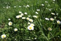 Miniatuurafbeelding voor de versie van 8 apr 2011 17:31