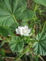 Miniatuurafbeelding voor de versie van 15 feb 2018 17:30